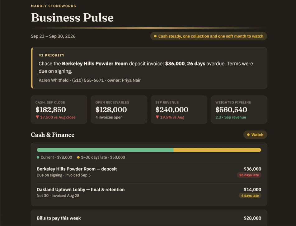 Business Pulse for a sample business: #1 priority, key numbers, and cash